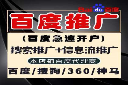 百度竞价入门必看：实操技巧与成功案例